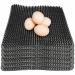 Hamiledyi Chicken Nesting Pads, Hen Nest Mats Washable, Chicken Nesting Box Plastic Liners, Reusable Egg Laying Mats for Chicken Coop Poultry Nest Boxes Ducks Nesting Pads 6PCS
