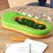 Observation Box Baby Silkworm Shape Silkworm Rearing Bucket Mesh Hole Design Multifunctional Educational for Reptiles (Green) - Buy Online on SooperMarket.com
