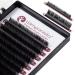 Easy Fan Lashes self-fanning eyelashes C Curl 0.07mm in mix 8-14mm for eyelash extension from Wimpanista