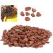 Buy Bark Litter for Reptiles - Natural Wood Granules Substrate for Turtles Lizards & Snakes | Eco-Friendly Breeding Box - Buy Online on SooperMarket.com