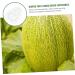 Milisten Gardening Tools 6 pcs Watermelon Mould Tools Clear Supplies Growing Garden Vegetable Multifunction Moldvegetable Transparentx2pcs 9x8cmx2pcs - Buy Online on SooperMarket.com