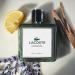 Lacoste Original Eau de Parfum - Long Lasting Scent with notes of Bergamot Clary Sage and Sandalwood - Fougere Woody Ambery - Buy Online on SooperMarket.com