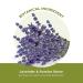 Yves Rocher Lavender & Pumice Foot Scrub - 2.5 Oz - Exfoliating Treatment - Buy Online on SooperMarket.com