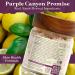 Purple Canyon SolSalts Matcha Detox Bath Salts | Lemon Basil Scented Soak with Green Tea & Grape Seed Oil - International Shipping Available - Buy Online on SooperMarket.com