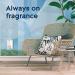 Glade PlugIns Clean Linen Scented Essential Oils Refills for Home & Bathroom - 1.34 Fl Oz (2 Count) - Buy Online on SooperMarket.com
