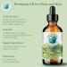 Green Coffee Bean Oil 236 ml Rich in Antioxidants Natural Moisturizer Versatile Use Bella Terra Oils  - Buy Online on SooperMarket.com