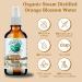Orange Blossom Water (Neroli Hydrosol) - 1 Gallon | Natural Skin Refresher Aromatherapy & Glow - Bella Terra Oils (Pack of 10 - Buy Online on SooperMarket.com
