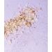 Moonlit Skincare Slumber Bath Salts - Relax and Unwind with this Luxurious Blend - Buy Online on SooperMarket.com