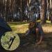 8 Pack Heavy Duty 8 Inch Steel Tent Stakes - Unbreakable Metal Pegs for Camping - Buy Online on SooperMarket.com