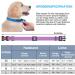 Shop Haapaw Reflective Dog Collar - Padded Neoprene & Breathable Nylon for Small Medium & Large Dogs - Purple (M 1 Pack) | International Shipping Available - Buy Online on SooperMarket.com