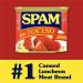 Spam Tocino Seasoning 12 oz Can - Delicious Seasoning Mix for Authentic Tocino Flavor - Buy Online on SooperMarket.com