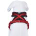 Trixie Premium Touring Tears Dog Harness XS-S - Red Adjustable Fleece-Padded Ideal for Small Dogs (Breast Circumference 30-55 cm) - Buy Online on SooperMarket.com