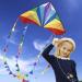 HONBO Large Delta Kite for Kids & Adults - Easy-to-Fly Beach Kite with Colorful Tail - Includes String Line - Ideal for Beginners - Buy Online on SooperMarket.com