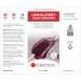 Crypton Upholstery Gold & Purple Stain Remover Kit with Odor Out Deodorizer - 8 fl. oz. | International Shipping Available - Buy Online on SooperMarket.com