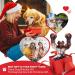 Zinbo Indestructible Dog Toys for Aggressive Chewers - Dark Brown, Medium/Large Breed - Buy Online on SooperMarket.com