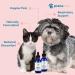 Prana Pets Respiratory Support Formula for Dogs and Cats - Promotes Optimal Respiratory Function - 1 Pack - Buy Online on SooperMarket.com