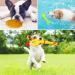 19-Piece Dog Toy Set - Durable Cornitoo Rope Balls & Chew Toys for Small Medium & Large Dogs - Interactive & Tooth Training - Buy Online on SooperMarket.com