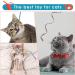 Amaxiu Cat Wand Toy Set Interactive Cat Wand Toy with Rainbow Ribbon String Rainbow Cloth String Leopard Print Cloth String for Small Cats Kittens Indoor Training Catcher(3 Packs) - Buy Online on SooperMarket.com