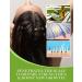 Ethereal Nature 99% Natural Hair Oil Blend with Tea Tree - 7.1 oz | Nourish & Protect Your Hair - Buy Online on SooperMarket.com
