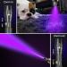 Darkbeam UV Flashlight 365/395nm - Portable Black Light Detector for Dog Urine Pet Spots & Banknote Identification - Mini Handheld LED Lamp - Buy Online on SooperMarket.com