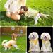 Pineapple Sunflower Large Pet Dress & Shirt Set - 4 Piece Cute & Breathable Puppy Clothes - Buy Online on SooperMarket.com