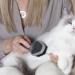 FURminator Dual Grooming Brush for Cats and Dogs - Shedding Tool for Effective Pet Hair Removal - Buy Online on SooperMarket.com