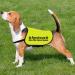 Nervous Anxious Dog Give Me Some Space Dog Jacket Vest Alert Slogan Warning Vest Rescue Dogs Anxious Dogs Gift (give space Anxious Large) give space Anxious L EU - Buy Online on SooperMarket.com