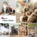 32 PCS Cat Toys Set - Interactive Variety Kitten Toys with Catnip, Feather Teaser, Crinkle Balls, and More - Buy Online on SooperMarket.com