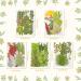99-Piece Assorted Real Dried Leaves for Resin Art & Craft - Plant Herbarium & DIY Jewelry Decoration - Handmade Bookmarks - 5 Bags - Buy Online on SooperMarket.com