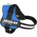 K9 Powerharness 2XL/3 Blue - Durable Dog Harness for Comfort & Control | Shop Internationally - Buy Online on SooperMarket.com