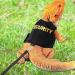 Buy Adjustable Lizard & Bearded Dragon Dishes Leashes Outdoor Pet Vests & Anti-Loss Gear International Shipping Available - Buy Online on SooperMarket.com