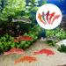 Artificial Floating Fish Decoration - 5pcs Aquarium Model for Terrarium & Landscape Crafts - Buy Online on SooperMarket.com