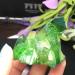 2pcs Aura Cluster Titanium Quartz Stunning Rainbow MineralsCan be Used for HOMEZHOU - Buy Online on SooperMarket.com