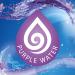Bloo In Cistern Twin Blocks Violet - Long Lasting Anti-Limescale Cleaning & Purple Water Technology - 2 Count - Buy Online on SooperMarket.com