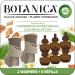 Botanica by Air Wick Plug in Scented Oil Starter Kit, 2 Warmers + 6 Refills, Caribbean Sweetgrass and Sandalwood, Air Freshener, Eco Friendly, Essential Oils Caribbean Sweet Grass and Sandalwood