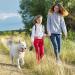 Etechydra Dog Retractable Leash 5m/16ft Gray - Heavy Duty Nylon Tape Leash with Anti-Bite Steel Chain for Medium Large Dogs - Buy Online on SooperMarket.com
