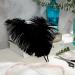 Pioio 20pcs Black Ostrich Feathers Plumes 12-14 inch - Ideal for DIY Halloween & Gatsby Decorations - Buy Online on SooperMarket.com