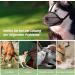 Professional Dog Muzzle - Breathable Adjustable Network for Medium & Large Dogs | Prevent Biting Chewing & Barking - Buy Online on SooperMarket.com