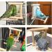 2Pcs Parrot Hanging Swing Mirror Fun Wooden Parrot Mirror Hanging Wooden Bird Mirror Toy Parrot Toy Budgie Mirror for Small Birds - Buy Online on SooperMarket.com