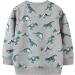 Kids Dinosaur Sweatshirt | Cotton Long Sleeve Pullover for Boys & Girls | Toddler Baby Clothes 2-3 Years Grey - Buy Online on SooperMarket.com
