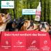 Powerpets Spot-On Tick Protection for Dogs - 100% Natural Effective Against Ticks Fleas & Parasites Includes Free Flea Comb | Seasonal Drops for Dogs - Buy Online on SooperMarket.com