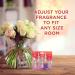 Glade PlugIns Rose & Bloom Air Freshener Refills - 5 Count Pack, 3.35 Fl Oz - Scented Essential Oils for Home & Bathroom - Buy Online on SooperMarket.com