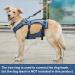 COODEO Dog Lifting Harness - Adjustable Breathable Support for Rehabilitation | Ideal for Old & Disabled Pets - Blue - International Shipping - Buy Online on SooperMarket.com