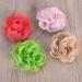 Frcolor 20pcs 3D Rose Flower Hair Clip Set - Chiffon Rose Clips for Women and Girls - Buy Online on SooperMarket.com