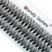Individual Cluster Lashes D Curl 0.07mm 16mm 40 Root Cluster Eyelash Extensions Grafting Individual Cluster Eyelashes 40D DIY Lashes Clusters Lash Extensions(Clusters-40D-0.07-D-16) RR-16mm Clusters-40D-0.07-D