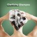 Suave Professionals Clarifying Shampoo Charcoal Aloe Vera 12.6 oz | Paraben-Free | Oily Hair Treatment - Buy Online on SooperMarket.com
