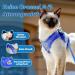 Soft Cat Vest with Leash & Supet Cat Dishes for Kittens & Small Dogs - Blue Size S (26-32 cm) - Ideal for Chihuahua & Pets - Buy Online on SooperMarket.com