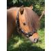 JF-Reitsport Cavesson Pro 2021 - 4-Way Adjustable Soft & Shock-Absorbing Padded for Warmbloods | International Shipping Available - Buy Online on SooperMarket.com