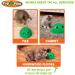 Pop N Play Interactive Motion Cat Toy | Electronic Smart Feather & Mouse Teaser | Cat Mouse Squeak Sound | Auto Shut Off | Best Cat Toy Ever! - Buy Online on SooperMarket.com