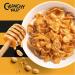 Kelloggs | Crunchy Nut Portion Packs | 40x35g - Buy Online on SooperMarket.com